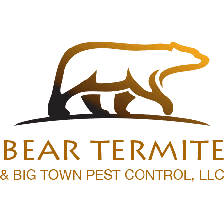 Google street view image of Bear Termite & Big Town Pest Control