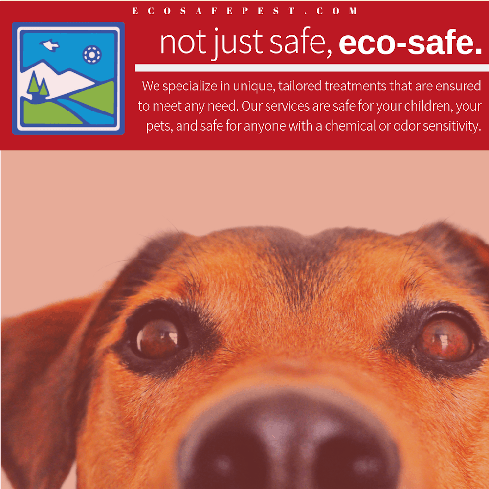 Google street view image of Eco-Safe Pest Control
