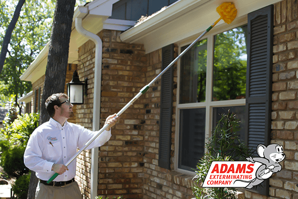 Google street view image of Adams Exterminating