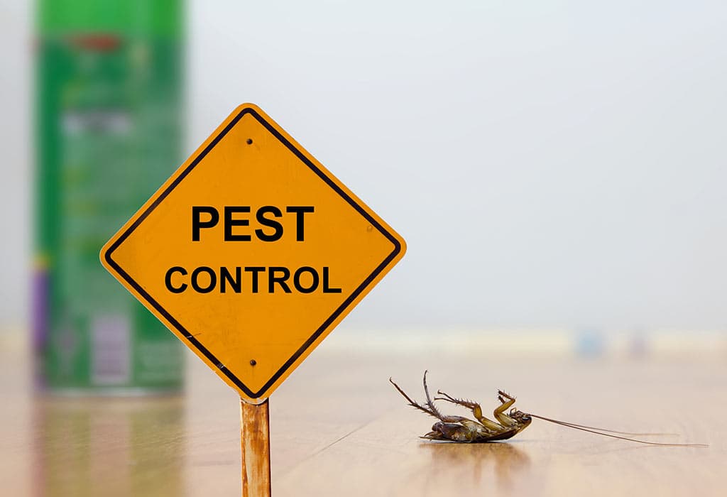 Google street view image of Deep Pest Control Services Inc.
