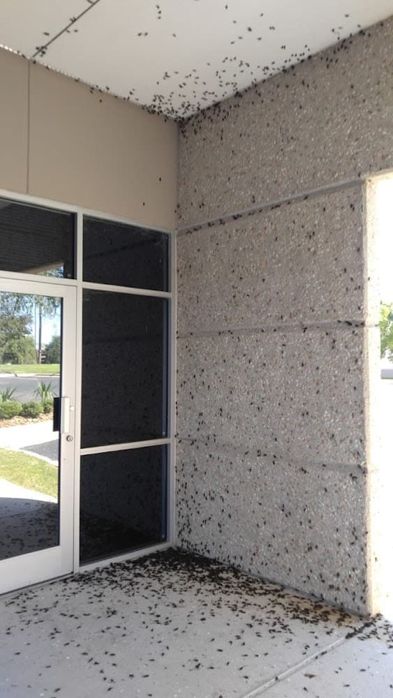 Google street view image of Omniserve Pest Management