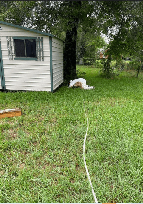 Google street view image of IN & OUT PEST CONTROL