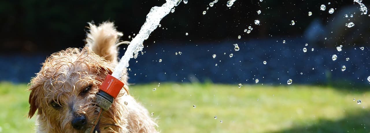 Google street view image of AllPro Sprinklers, LLC