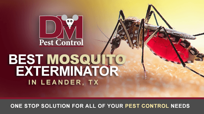 Google street view image of D. M. PEST CONTROL