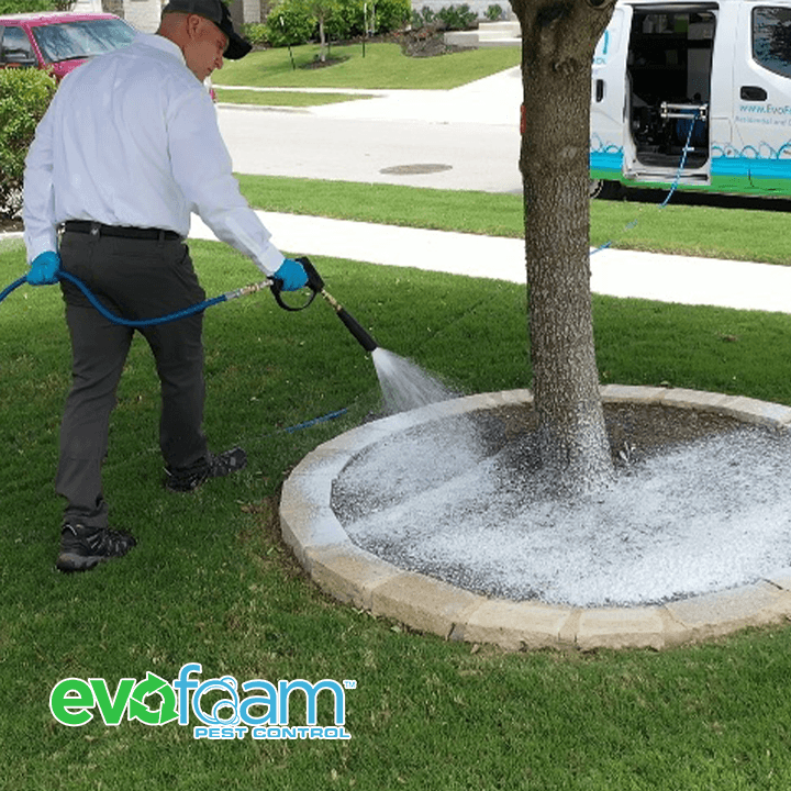Google street view image of EvoFoam Pest Control