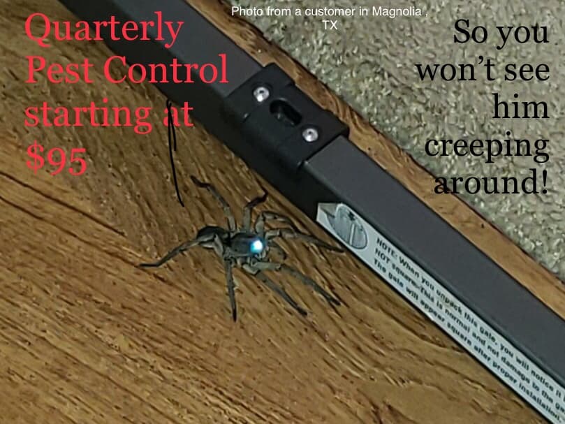 Google street view image of Adam's Pest Control