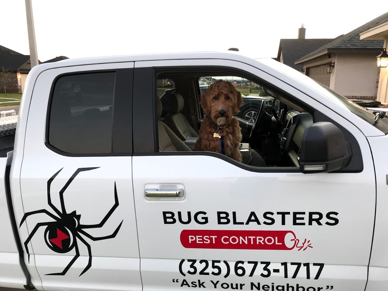 Google street view image of Bug Blasters Pest Control