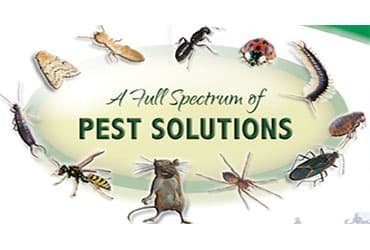 Google street view image of Advantage Pest Control