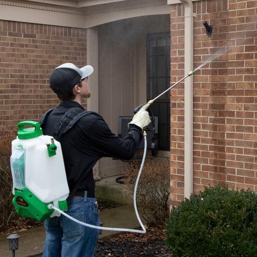 Google street view image of Pestico Pest Control