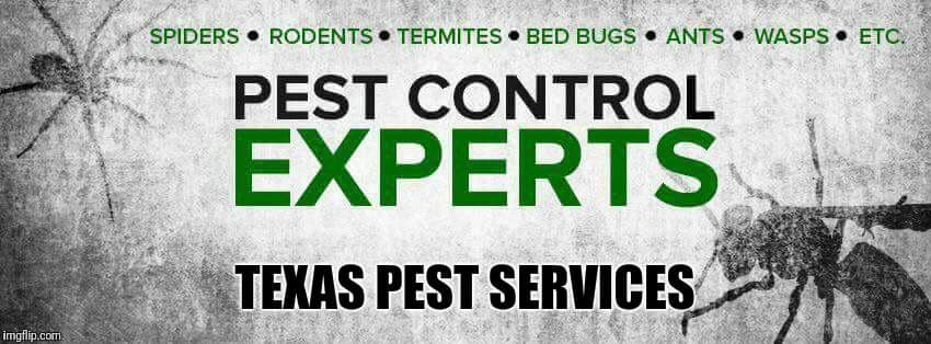 Google street view image of Texas Pest Services, LLC