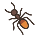 ants