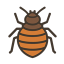 bed_bugs