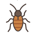 cockroaches