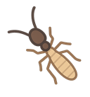 termite