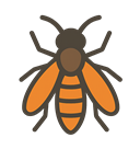 wasps